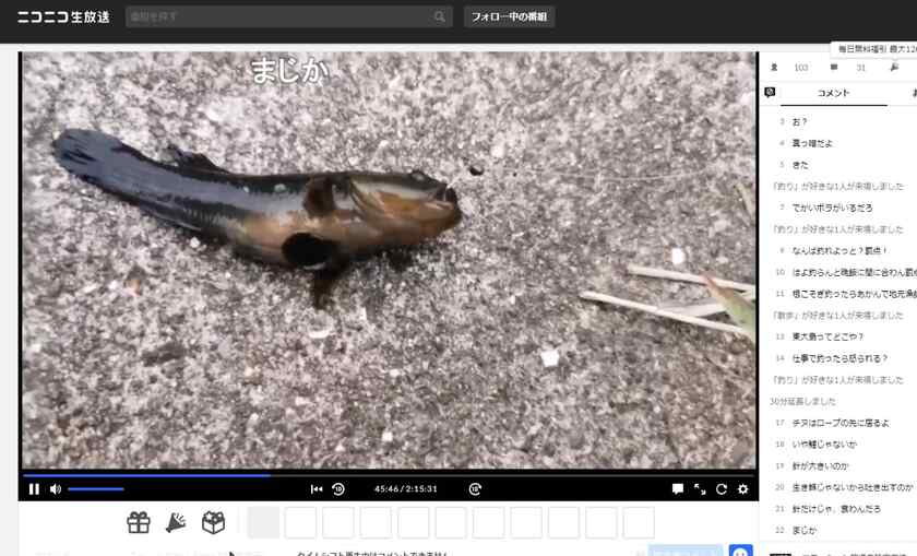 カラ針でようやくダボハゼが釣れました