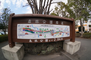森林公園緑道