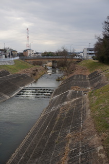 森林公園緑道