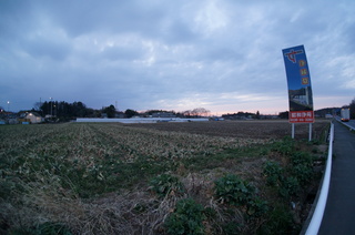 森林公園緑道