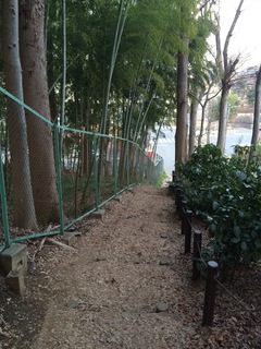 赤塚溜池公園