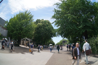 国立科学博物館の大アマゾン展観覧＠上野公園付近