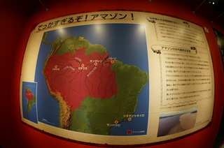 国立科学博物館の大アマゾン展観覧＠でっかすぎるぞ！アマゾン！