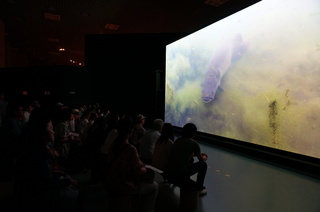 国立科学博物館、大アマゾン展＠アマゾンの映像