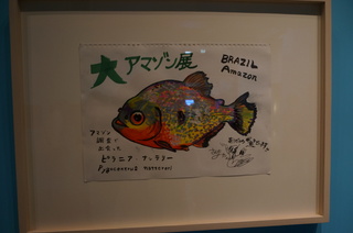 国立科学博物館、大アマゾン展＠さかなクンのブース